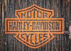 Does Harley-Davidson make electric bikes?