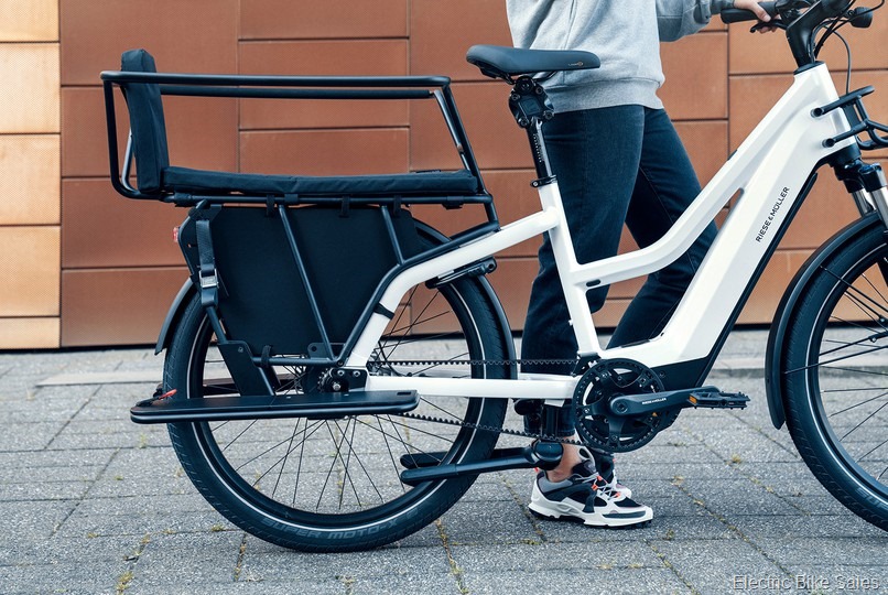 electric bikes for heavy people