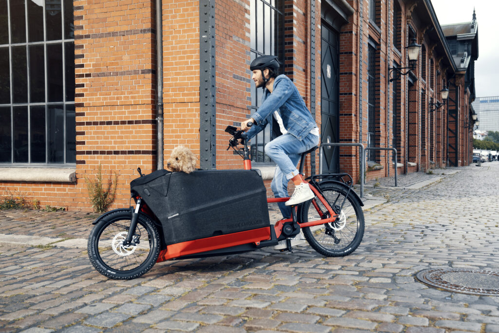 replace a car with an ecargo ebike