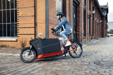 replace a car with an ecargo ebike
