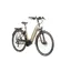 Raleigh eBike Motus Tour Step Through Derailleur Bosch Motor Champagne