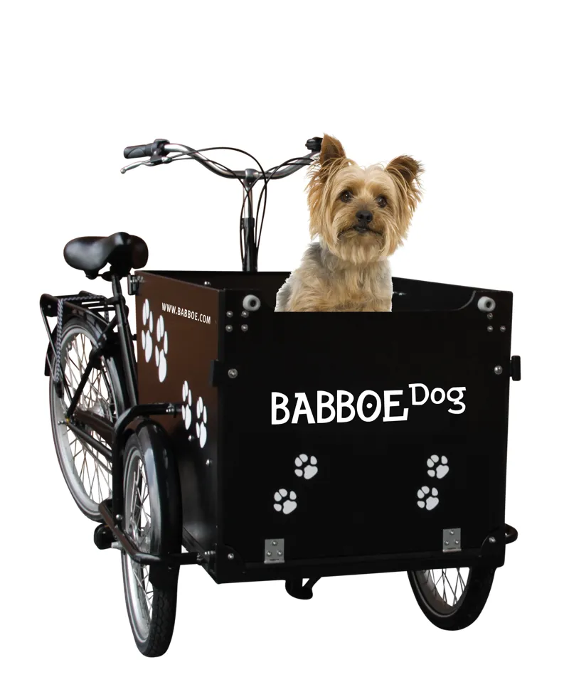 babboe dog electric cargo bike
