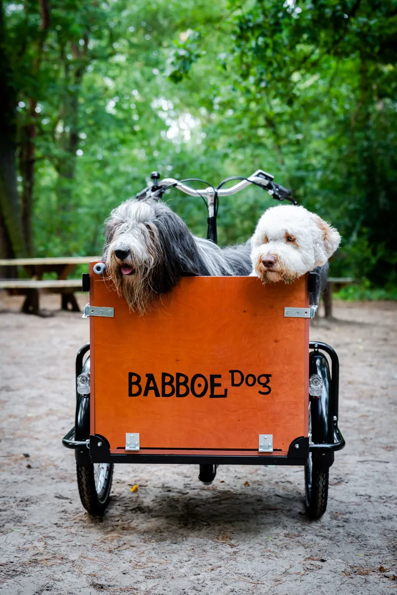 2020 Babboe Dog E Electric Cargo Trike £2,399.00