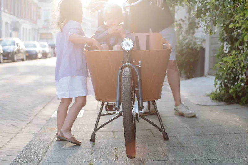 Babboe Mini Mountain Electric Cargo Bike Wood-4