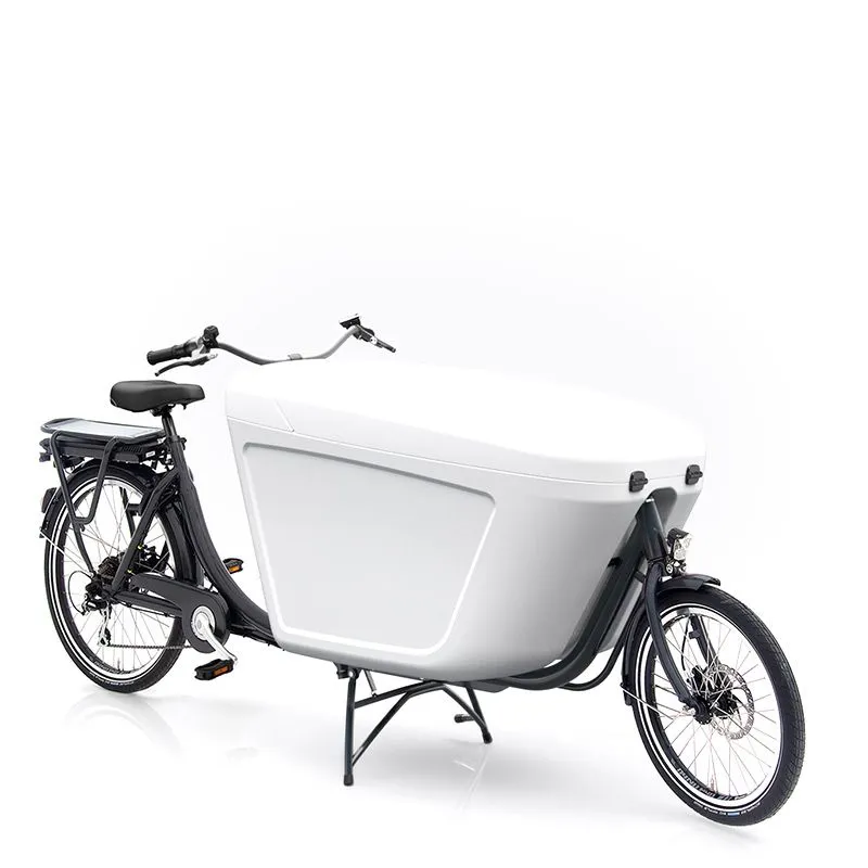 Probike electric bike 2025