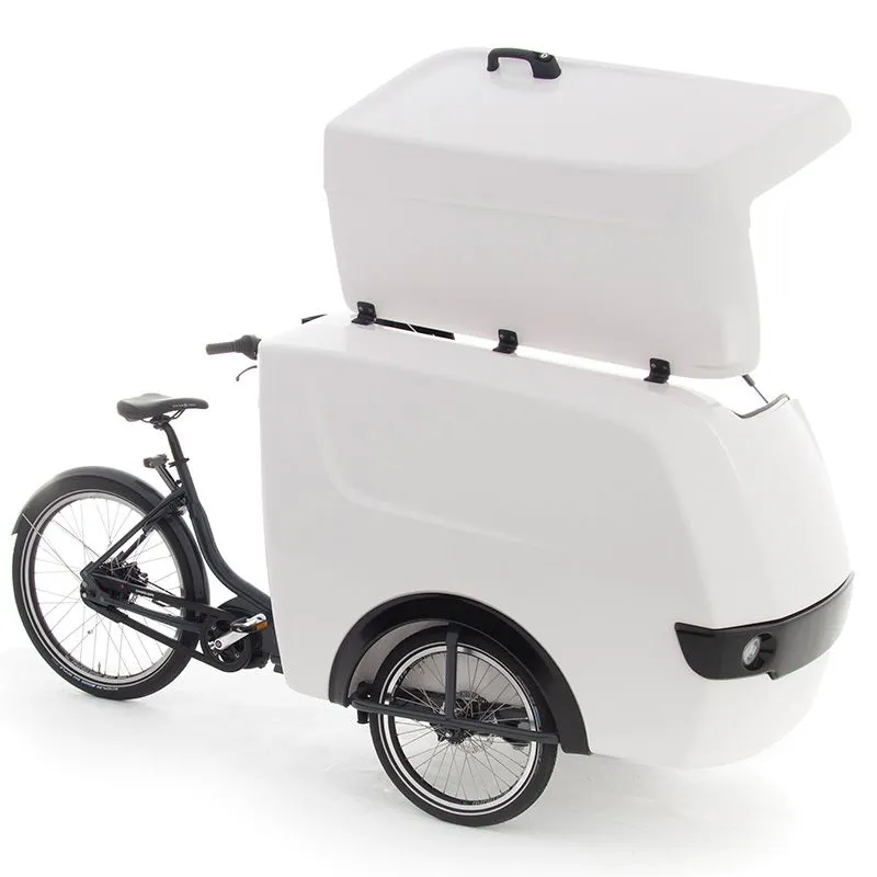 White trike 2025
