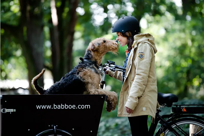 cargo bike dog