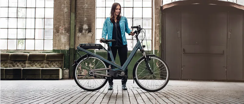 Riese and Muller Culture Automatic Electric Bike Electric Red-1