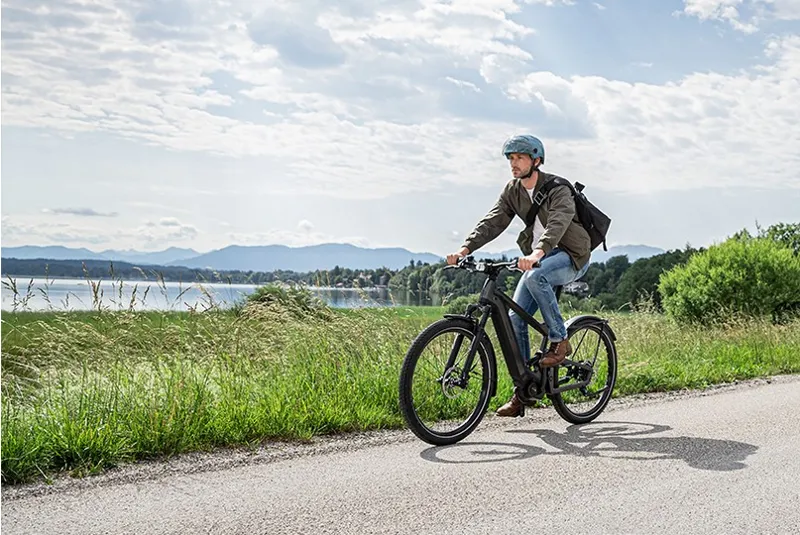 Riese and Muller Delite GT Rohloff HS Electric Bike Urban Grey-2