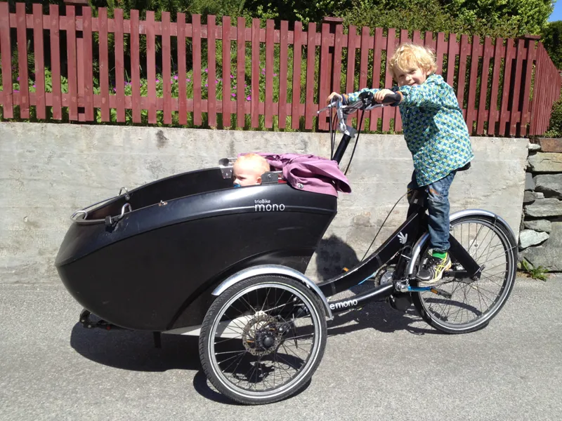 Electric trike kit cheap