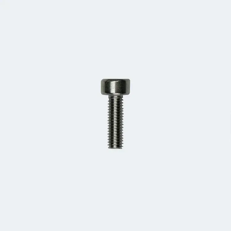 Fazua Ride 60 Ergo Ring/Hub Control Mount Screw in Silver