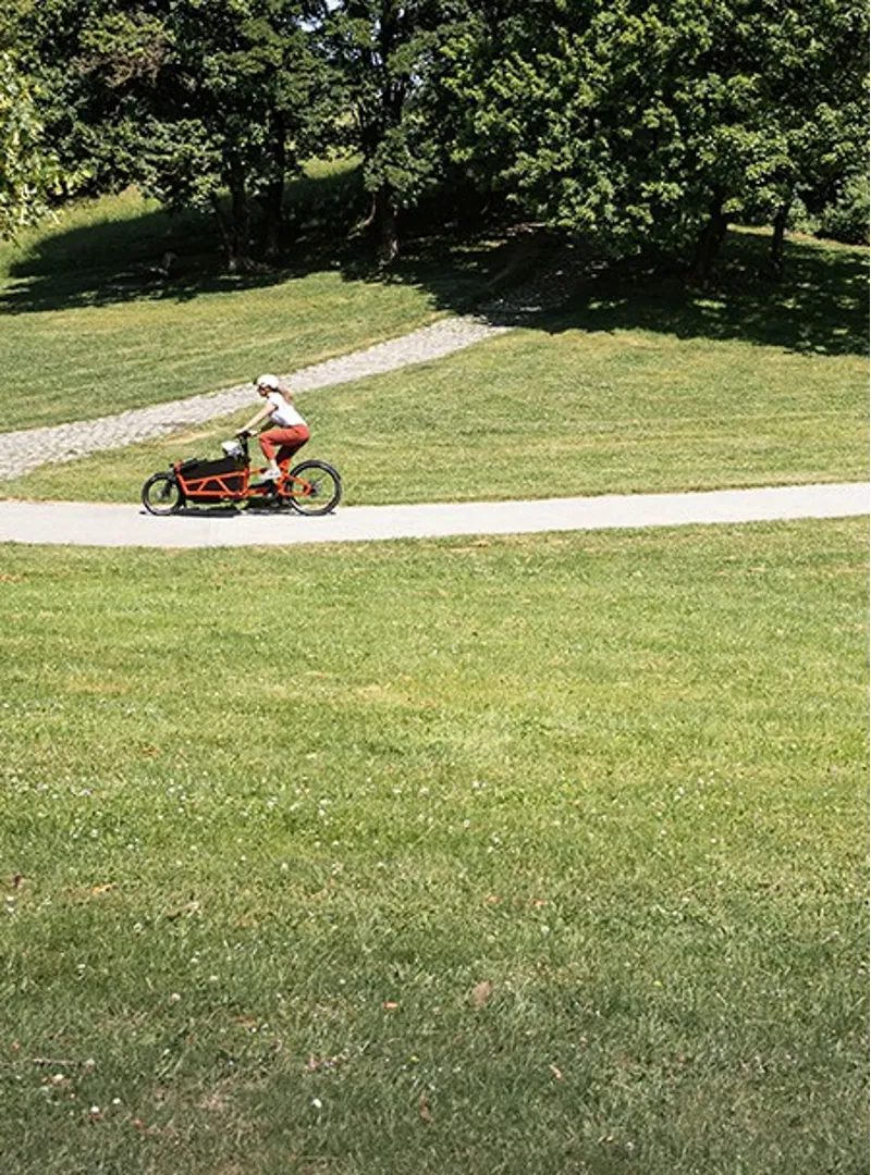 Riese and Muller Load 60 Vario HS Electric Bike White-4