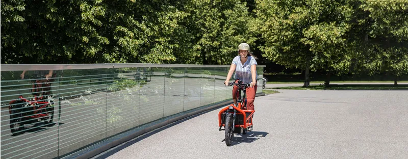 Riese and Muller Load 60 Vario HS Electric Bike White-9