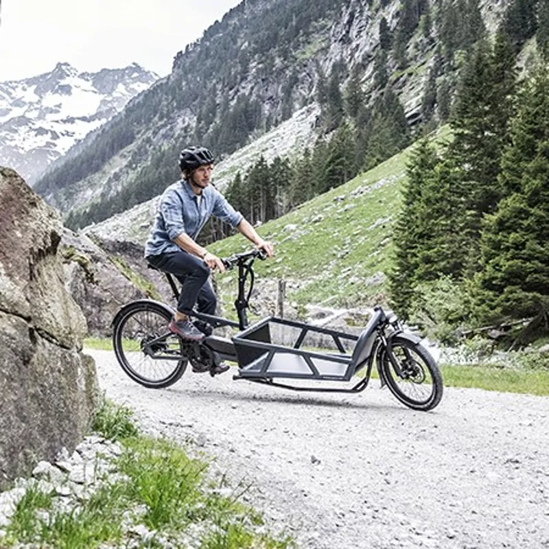Riese and Muller Load 75 Vario Electric Bike White-7