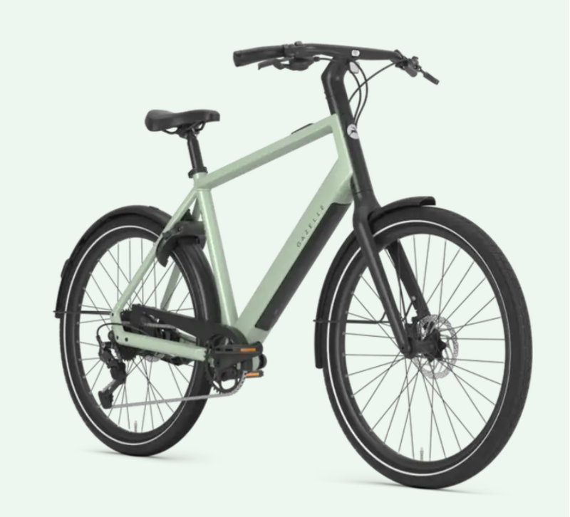 Gazelle Curb C1 T9 Black Bosch Hubline eBike-1