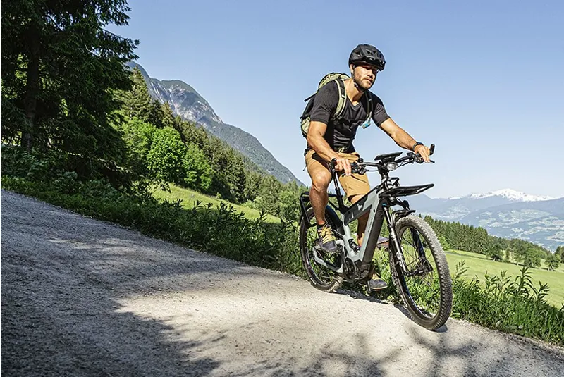 Riese and Muller Superdelite GT Rohloff HS Silver-3