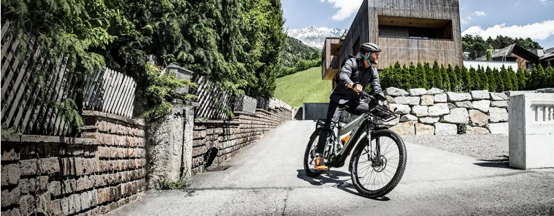 Riese and Muller Superdelite GT Rohloff HS Silver-9