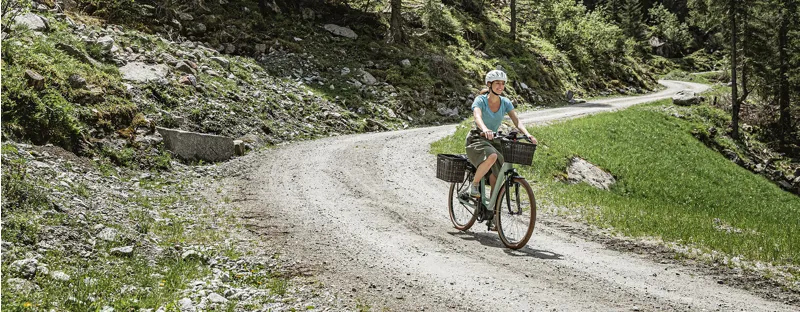 Riese and Muller Swing3 Urban Electric Bike Crystal White-6